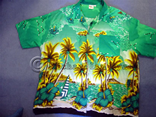 Island Shirt